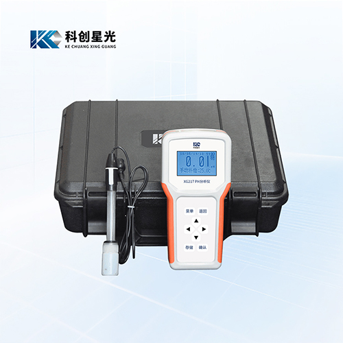 XG217便携式pH分析仪