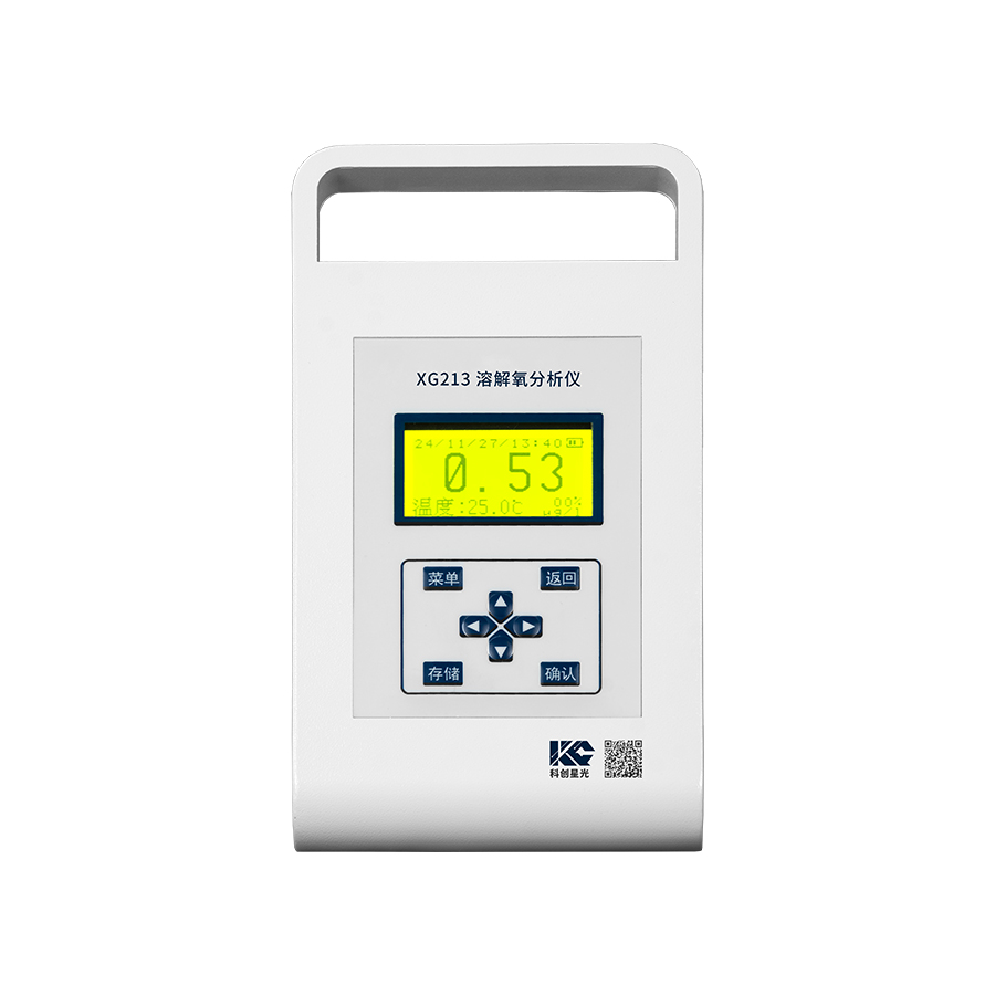 便携式溶解氧分析仪(微克级)